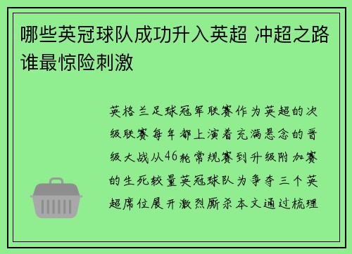 哪些英冠球队成功升入英超 冲超之路谁最惊险刺激